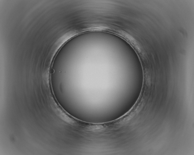 X0000112521186200908171348