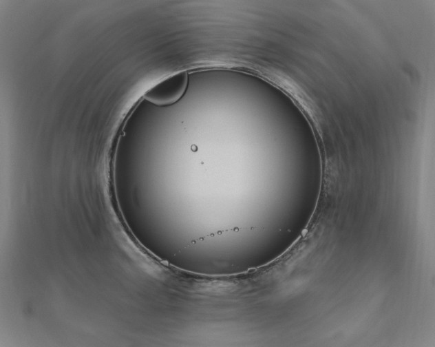 X0000112521187200908171348