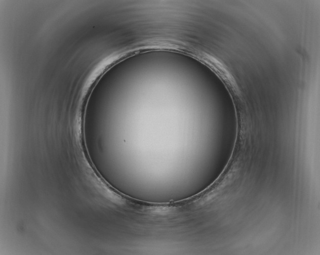X0000112521188200908171348
