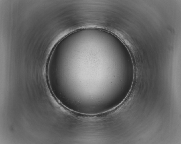 X0000112521189200908171348