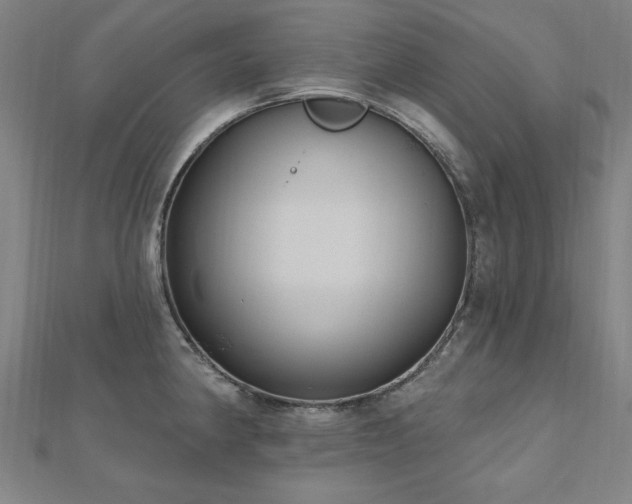 X0000112521190200908171348