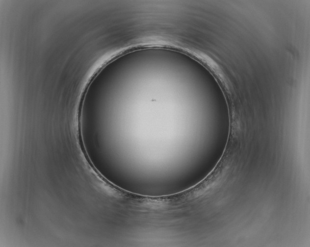 X0000112521191200908171348