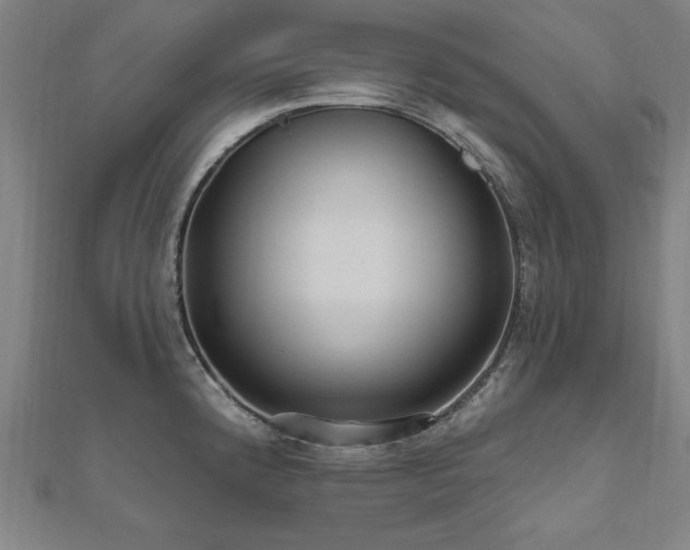 X0000112521192200908171348