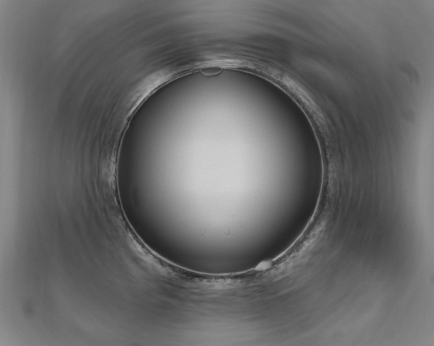 X0000112521193200908171348