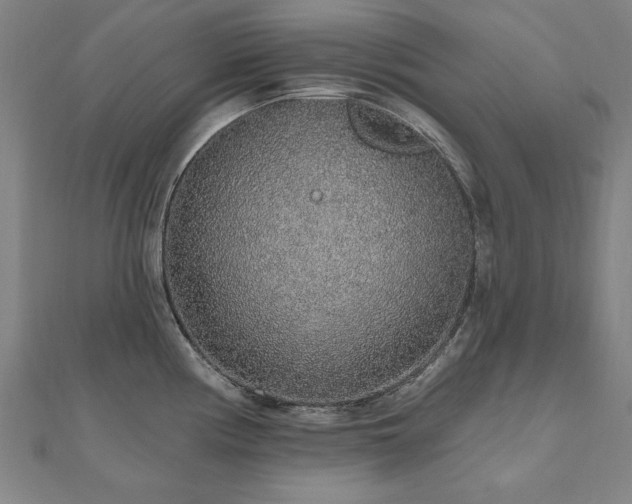 X0000112521194200908171348