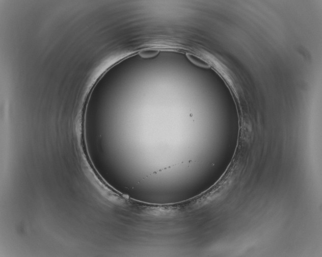 X0000112521195200908171348