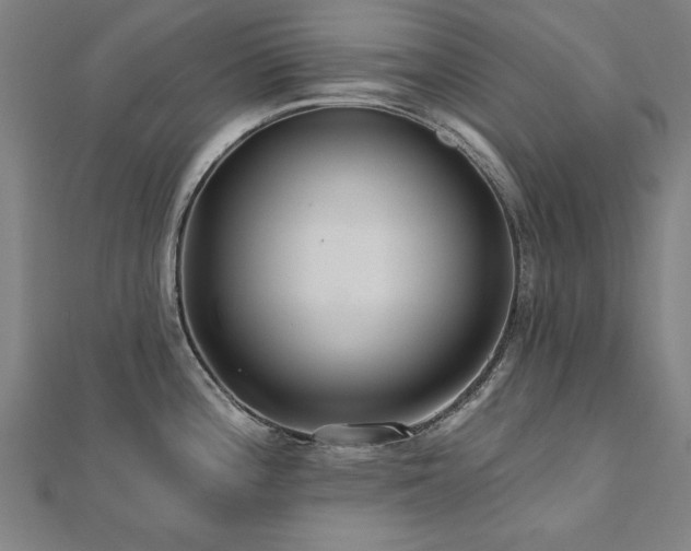 X0000112521196200908171348