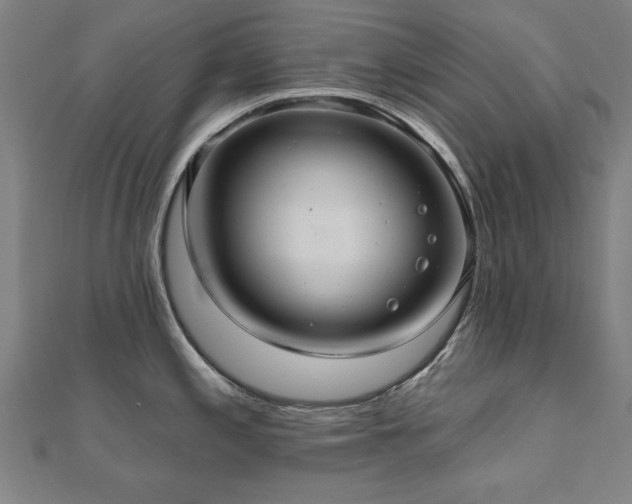 X0000112521197200908171348