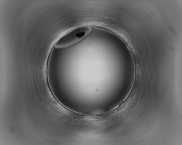 X0000112521199200908171348