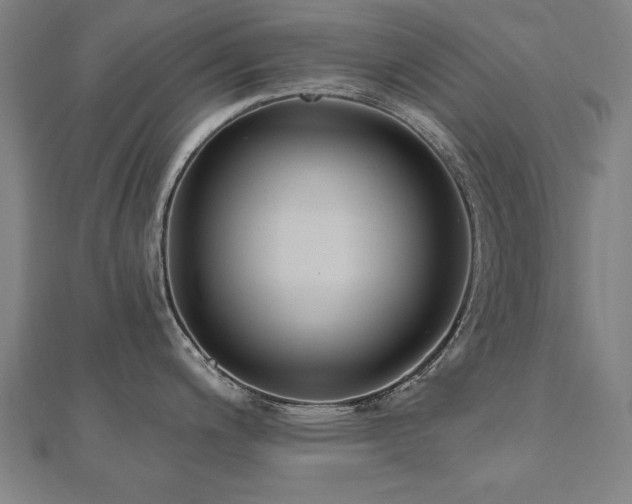 X0000112521200200908171348