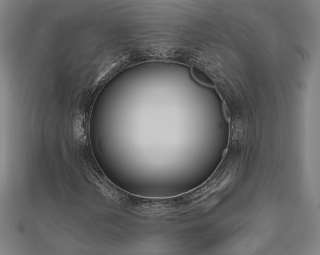 X0000112521202200908171347