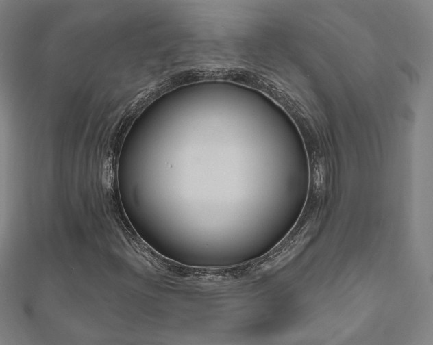 X0000112521204200908171347