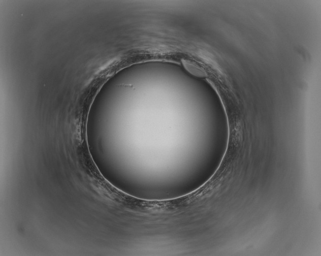 X0000112521205200908171347