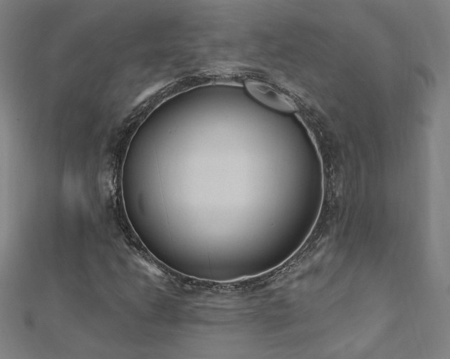 X0000112521206200908171347