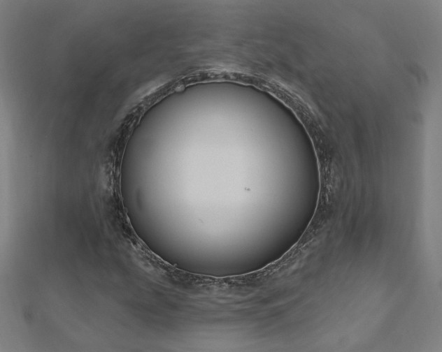 X0000112521207200908171347