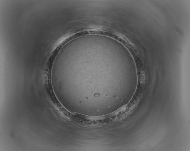 X0000112521208200908171347