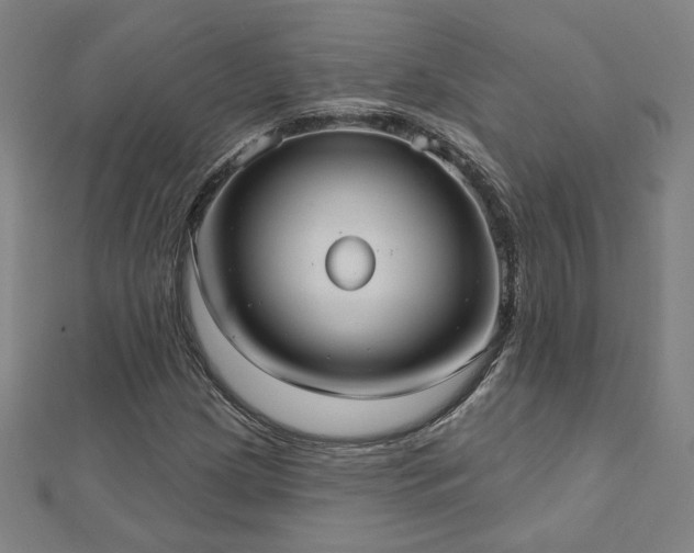 X0000112521209200908171347