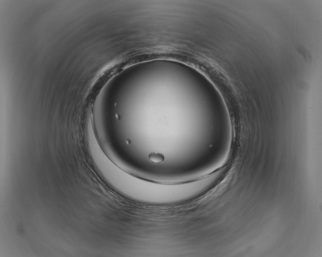 X0000112521210200908171347