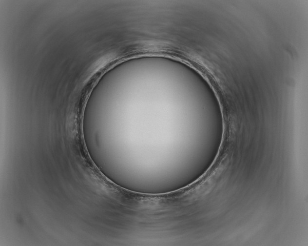 X0000112521211200908171347