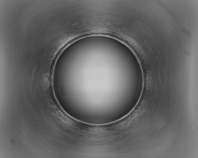 X0000112521212200908171347