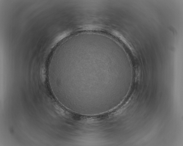 X0000112521213200908171347