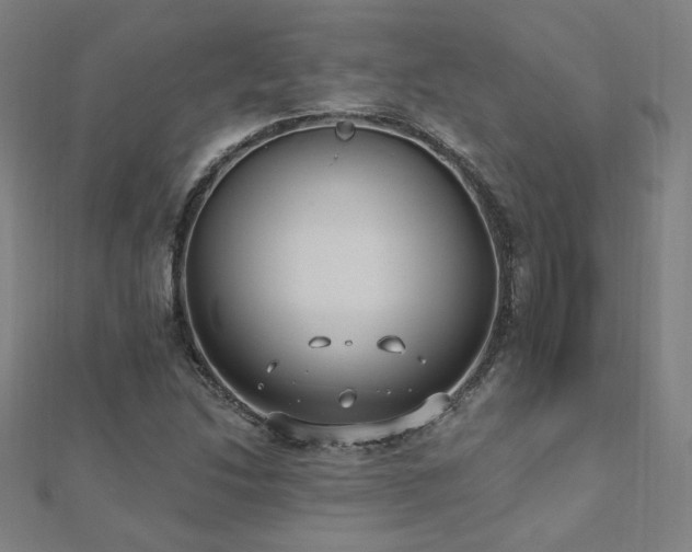 X0000112521214200908171347