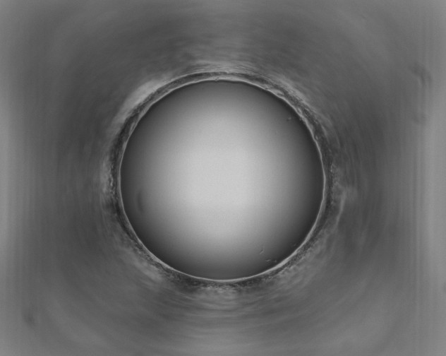 X0000112521215200908171347