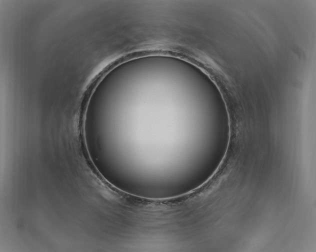 X0000112521216200908171347