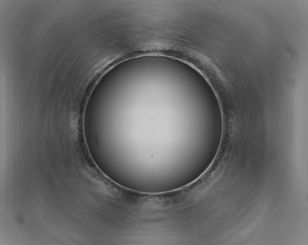 X0000112521217200908171347