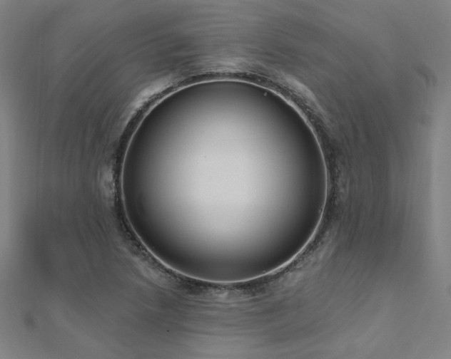 X0000112521218200908171347