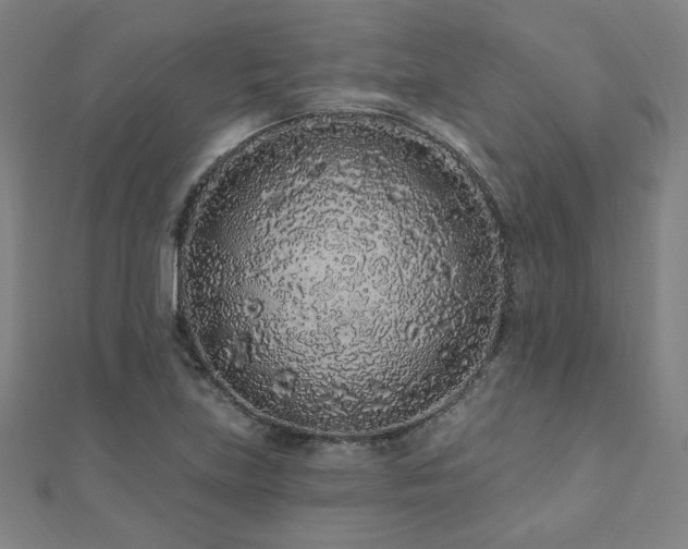 X0000112521219200908171347