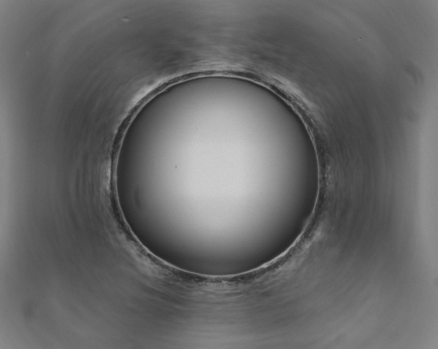 X0000112521220200908171347