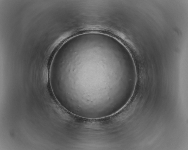 X0000112521221200908171347