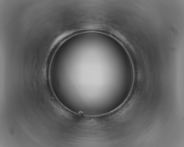 X0000112521222200908171347