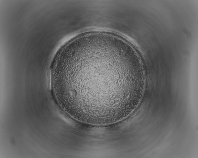 X0000112521223200908171347