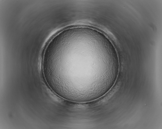 X0000112521224200908171347