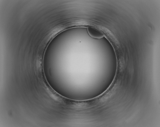 X0000112521225200908171347
