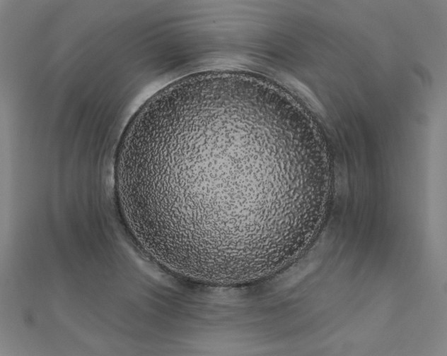 X0000112521226200908171347