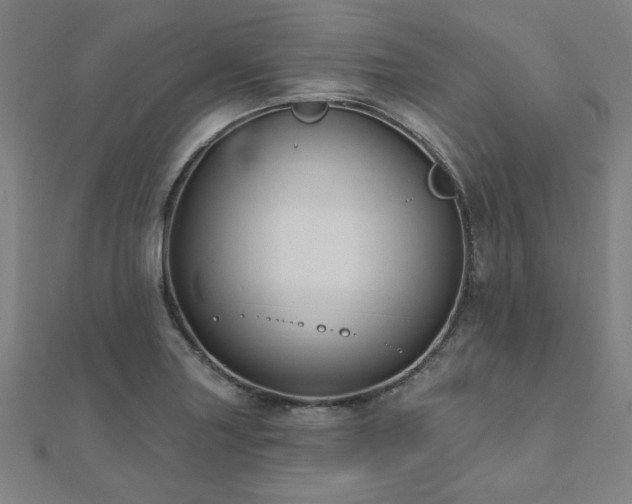 X0000112521227200908171347