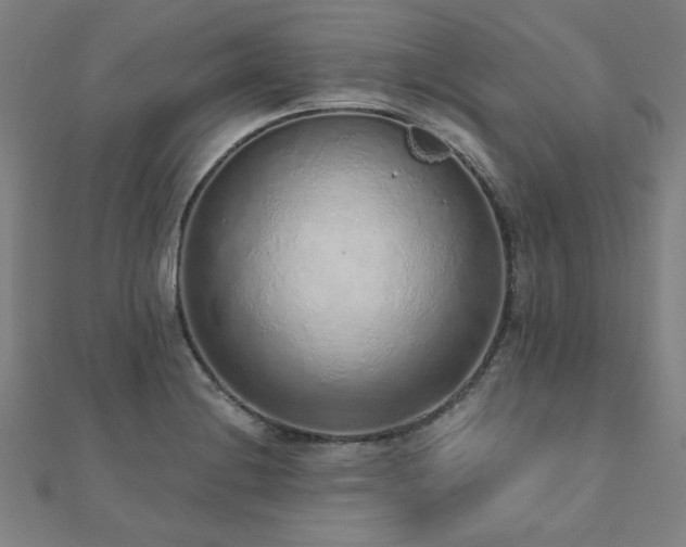 X0000112521228200908171347