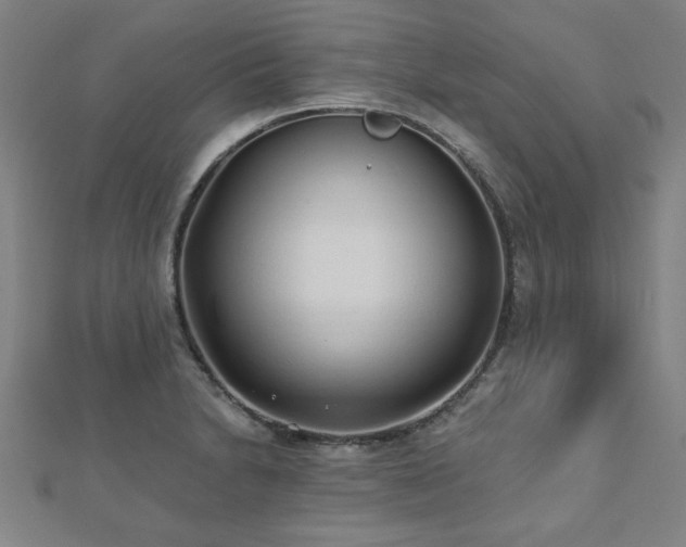 X0000112521230200908171347