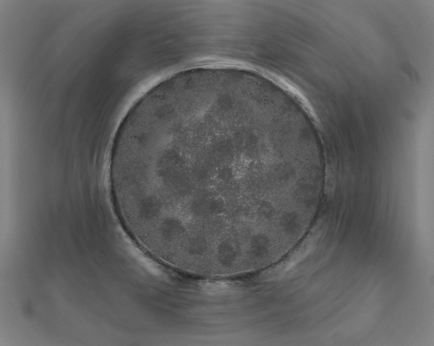 X0000112521231200908171347