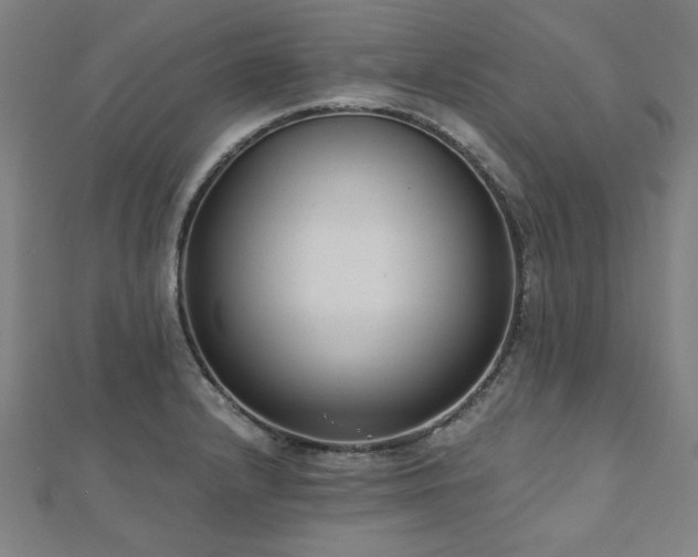 X0000112521232200908171347