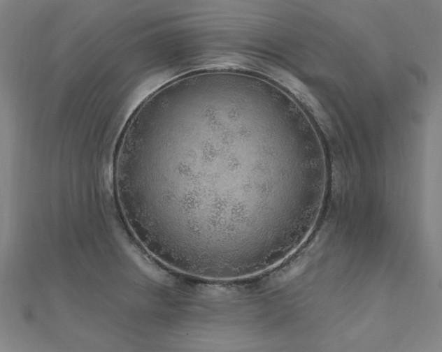 X0000112521234200908171347