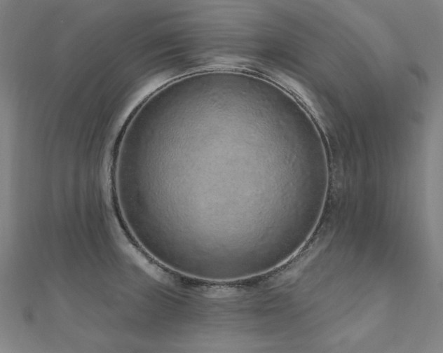 X0000112521235200908171347