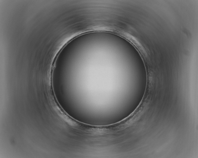 X0000112521236200908171347