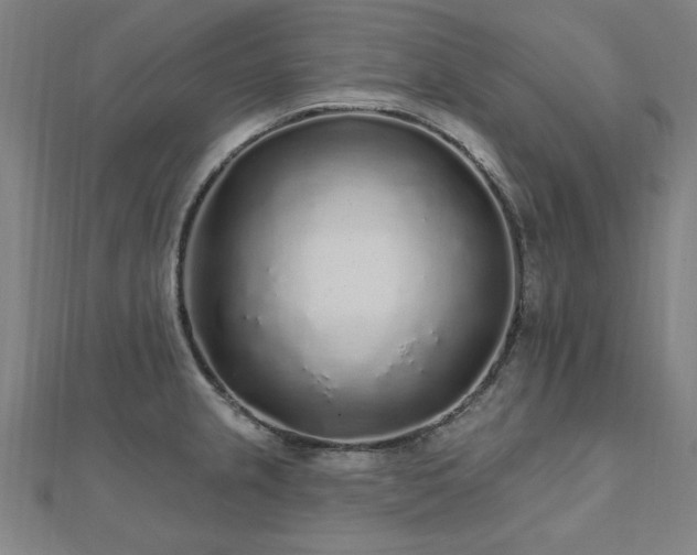 X0000112521237200908171347