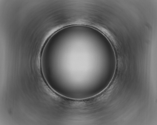 X0000112521238200908171347