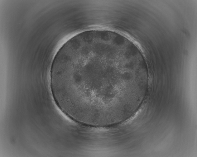 X0000112521239200908171347