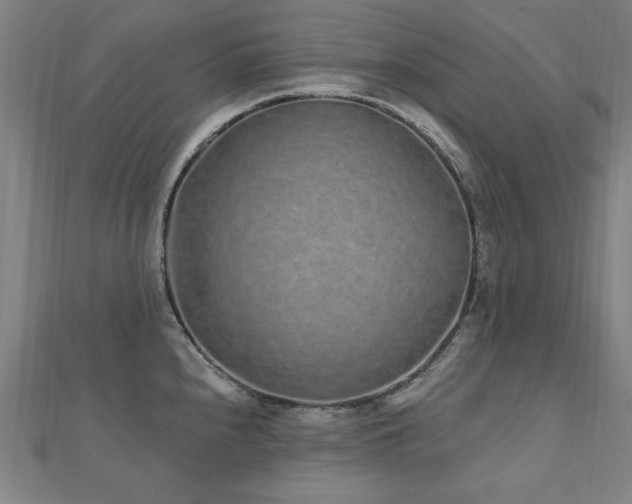 X0000112521240200908171347